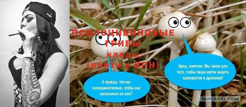 Галлюциногенные грибы MAGIC MUSHROOMS  Мантурово 